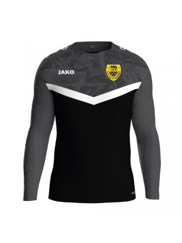 Sweater Iconic TRAINER