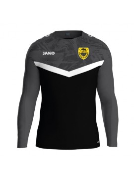 Sweater Iconic TRAINER